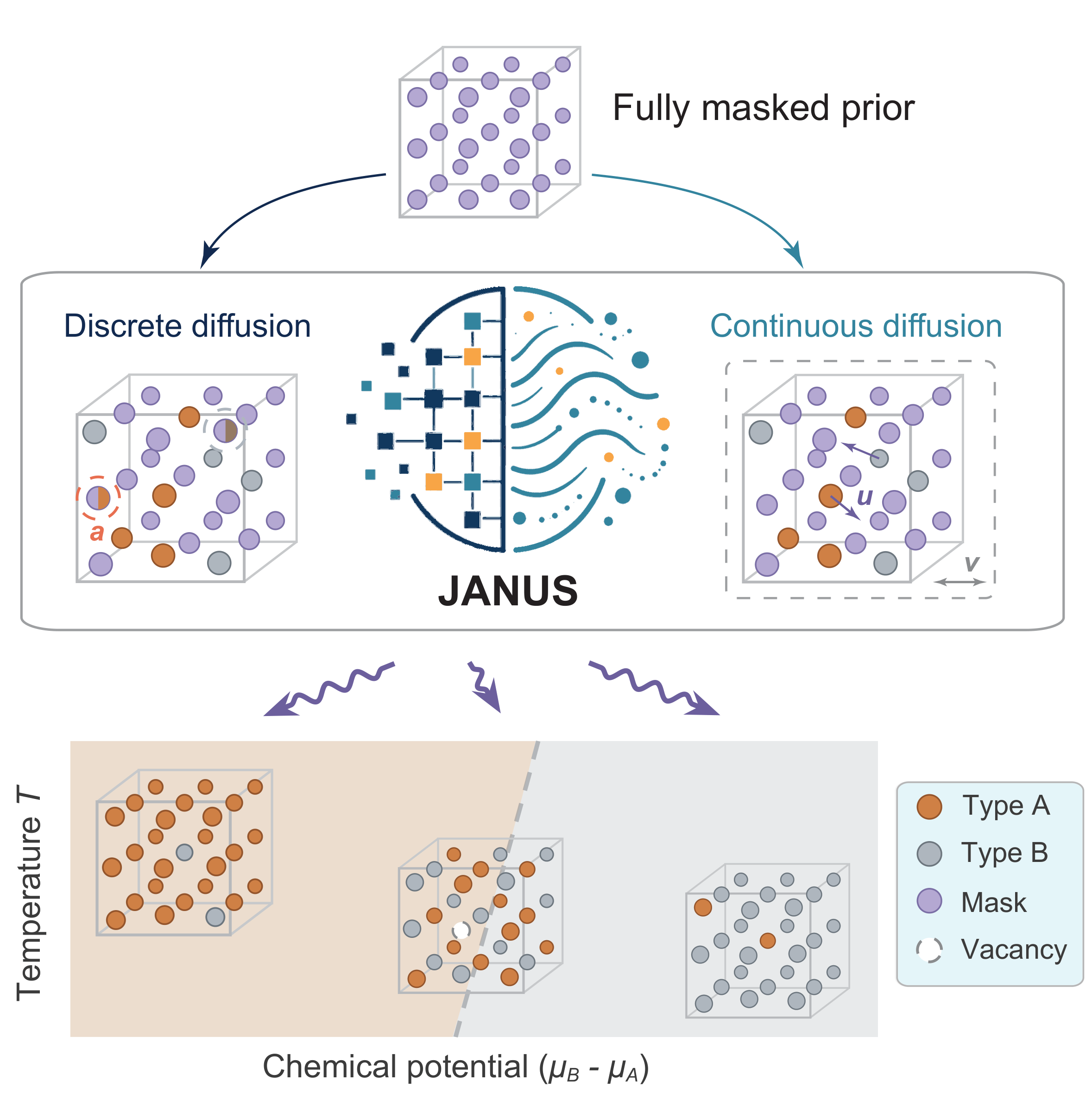 JANUS overview